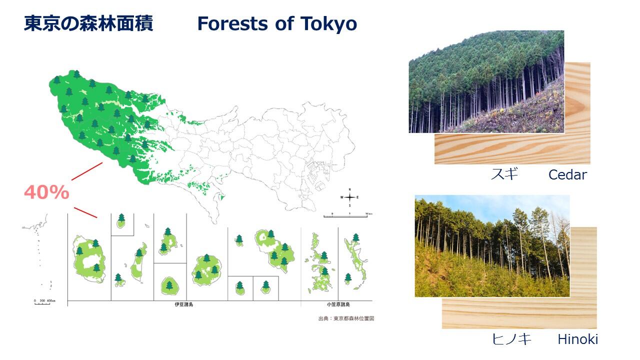 TMCブリーフィングスライド：東京の食材・木材等の魅力(7)