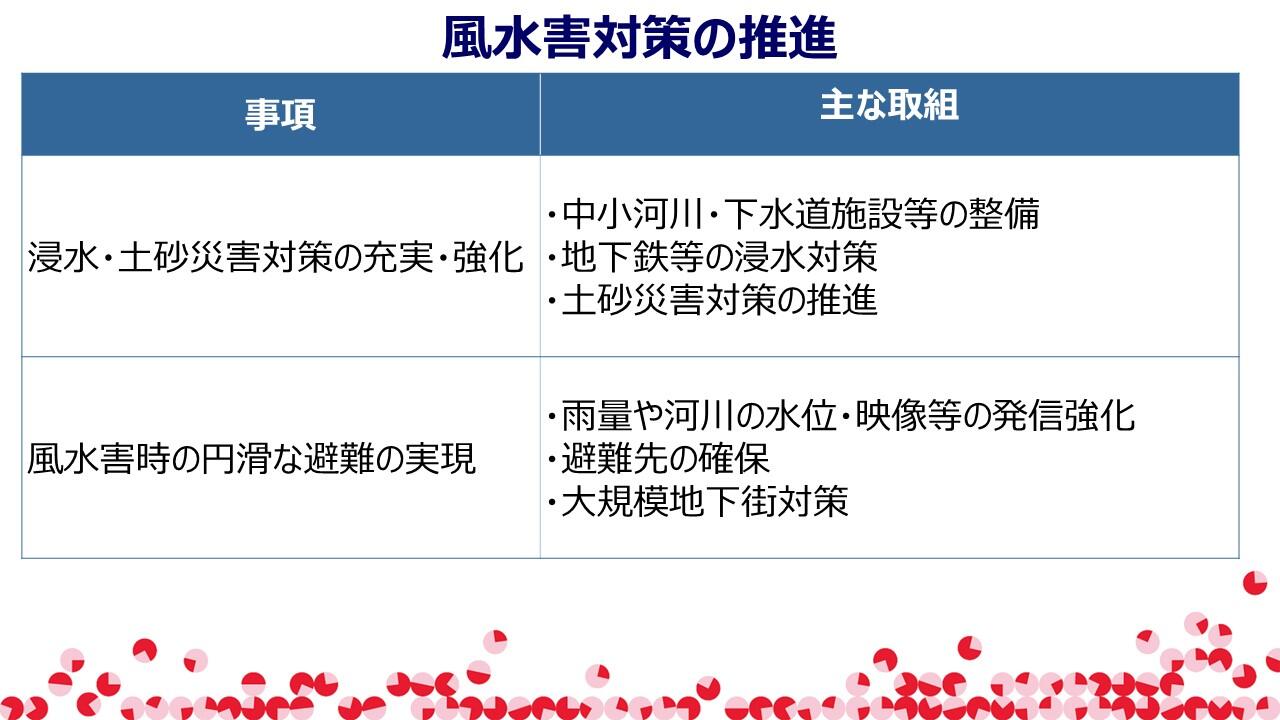 TMCブリーフィングスライド：東京都の防災対策(10)