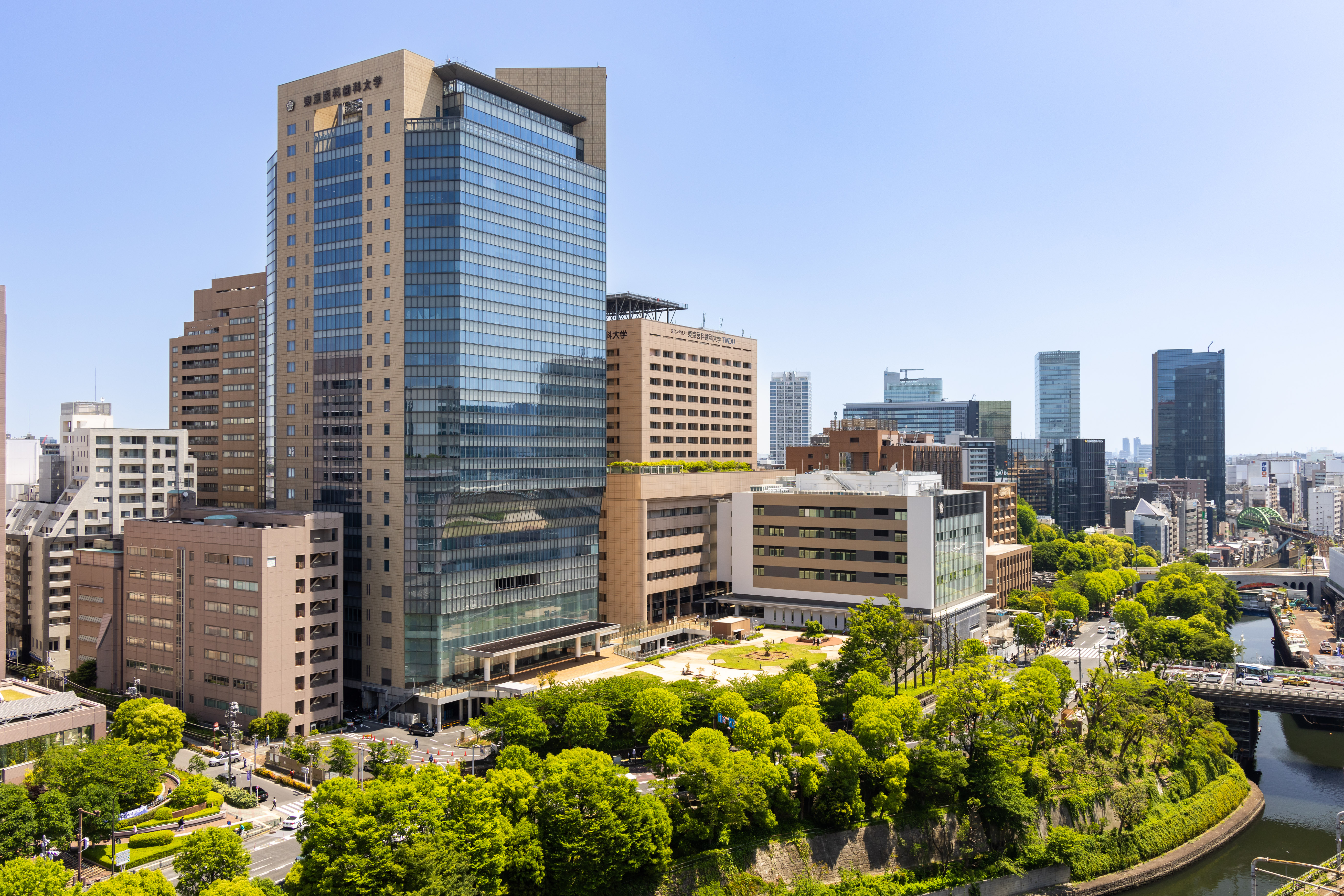 画像：東京医科歯科大学