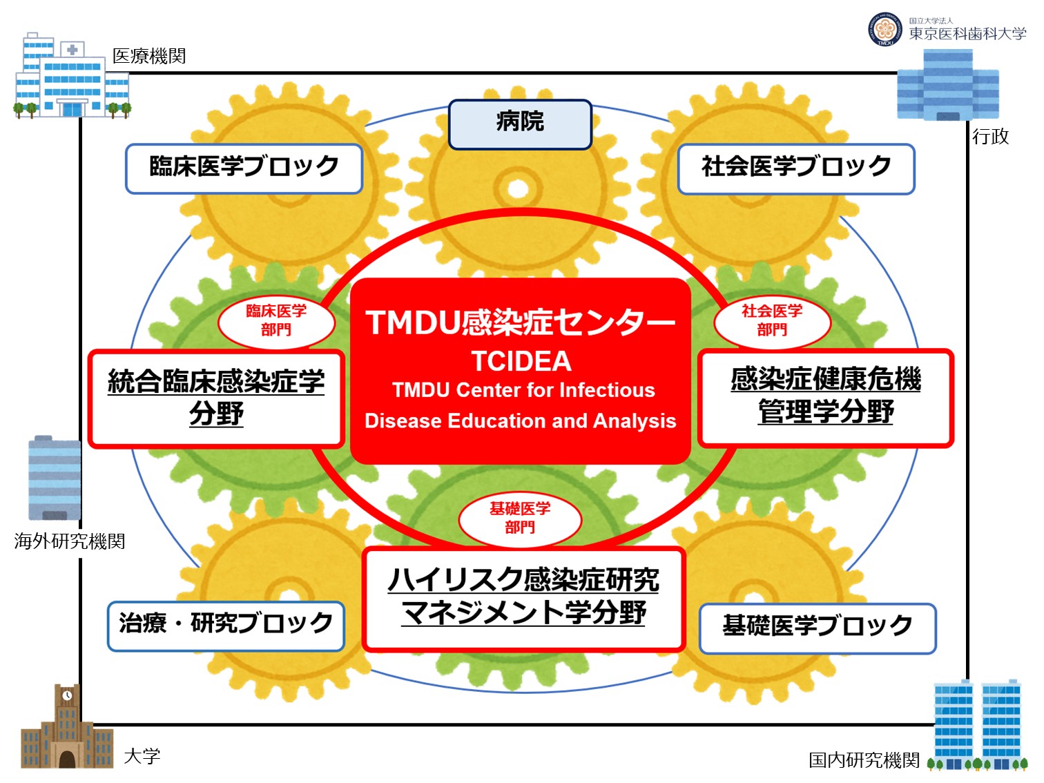 画像：東京医科歯科大学